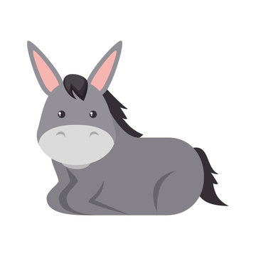 cute mule character icon vector illustration design