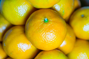 Orange fruit is citrus species Citrus × sinensis in family Rutaceae.  Good source of nutrients, Vitamins A, K and C in the juice are excellent for the body.  Orange juice is favourite drink.