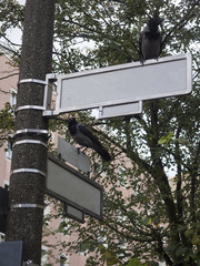 Cartel en el que figura el  nombre de la calle, está borrado para poder escribir.