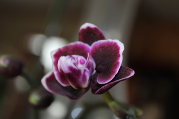 New camera - unedited