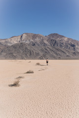 Fototapeta na wymiar Wandering Desert