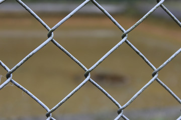 Chain link fence wire