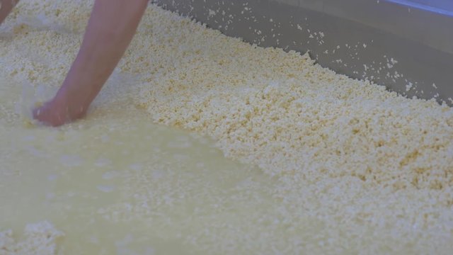 Man sifting cheese to the side of the vat while the liquid drains