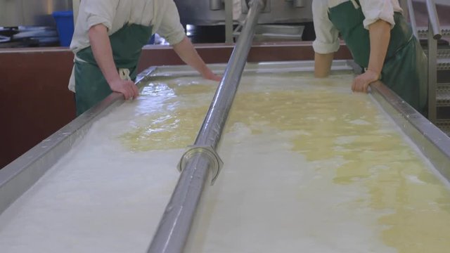 Cheese factory employees begin draining vat of cheese for the next stage of the process