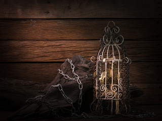 Still life art image of skeleton in white cage with metal chain and old woods on wooden table and background in dim light for Halloween night