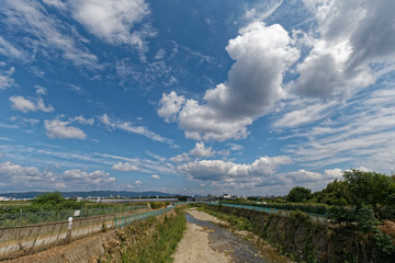 Fototapeta premium 千里川 伊丹空港