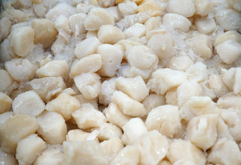 Fresh raw scallop on the ice for sale