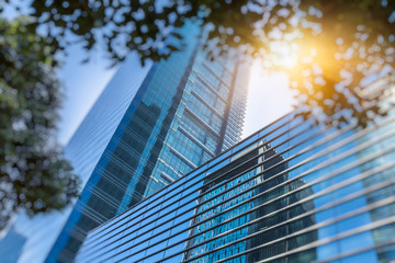 modern office building with green leaves.