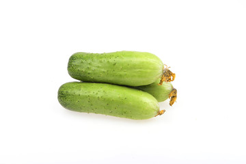 Three root fresh cucumber on a white background