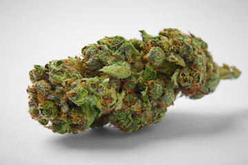 Close up of prescription medical marijuana strain on white background