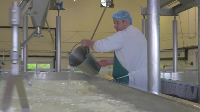 Cheese factory employee adds rennet to vat of milk being processed by machine