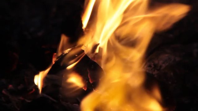 Fire Buning wood