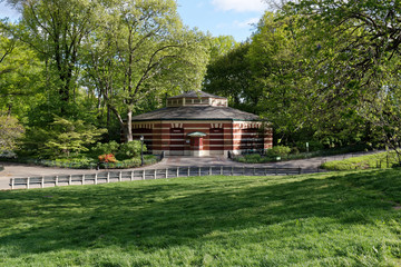 夏のセントラルパーク