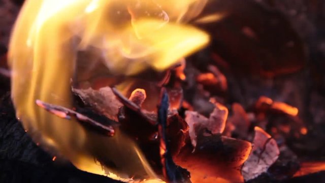 Fire Buning wood