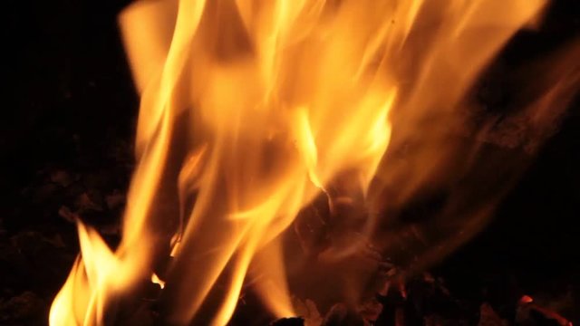 Fire Buning wood