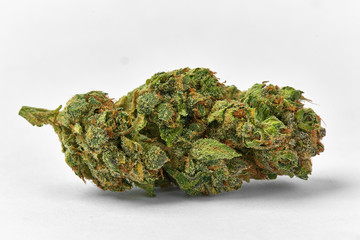 Close up of prescription medical marijuana strain on white background