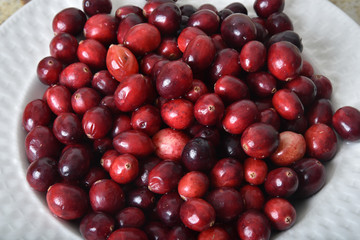 Cranberries closeup