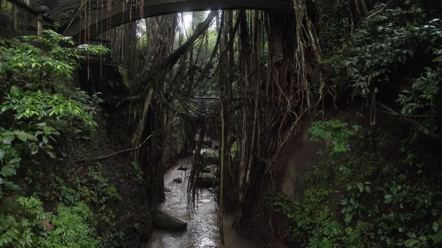 Bridge with figures of dragons in jungle Ubud Monkey Forest Bali Indonesia