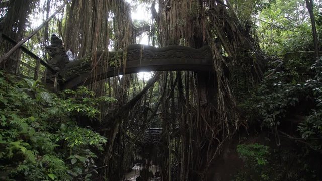Bridge with figures of dragons in jungle Ubud Monkey Forest Bali Indonesia