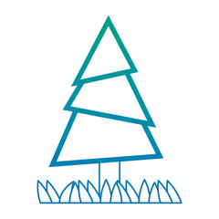 pine tree plant with grass vector illustration design