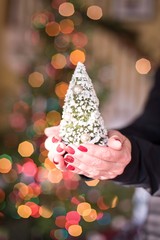 Woman's hands holding tiny Christmas tree with bokeh lights background