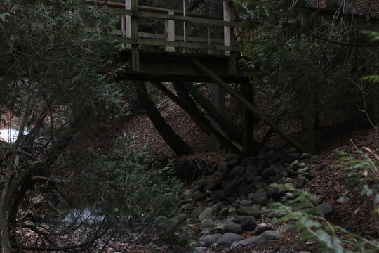 Nature Bridge