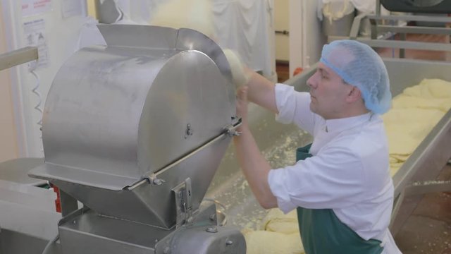 Factory employee milling fresh cheese into vat