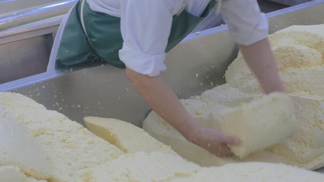 Factory employee sorting out blocks of fresh cheese for the next part of the process
