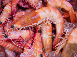 Ocean King Prawns