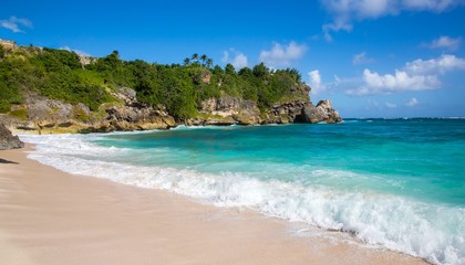 Fototapeta na wymiar Beautiful Tropical Coast with Clear Water