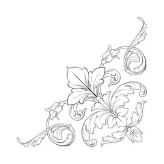 Classical baroque ornament vector 