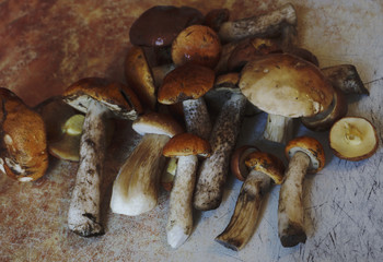 Fresh mushrooms boletus , krasnoholovets , volnushki. in the basket , hardwood table