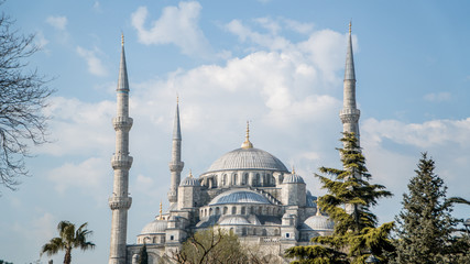 Fototapeta na wymiar Blue Mosque in Istanbul