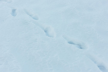 Man footprints on white deep snow