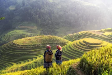 Foto op Plexiglas Rijstvelden Terrasvormig padieveldlandschap van Mu Cang Chai, Yenbai, Noordelijk Vietnam