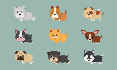 Vector cartoon cute puppy series Husky, pug, chihuahua, and others