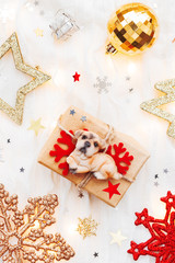 Christmas and New Year holiday background with decorations and light bulbs. Craft gift box with dog figure on it. Symbol of 2018 year. Flat lay, top view.