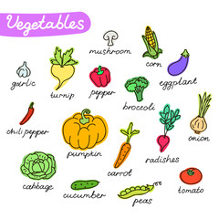 Set of vegetables. Vector illustration for your cute design.