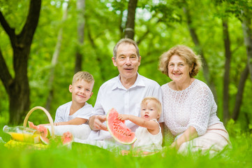 Happy family picnic. Grandparents  having a picnic in nature with grandchildren