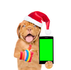 Funny puppy in red christmas hat with smartphone showing thumbs up. Isolated on white background