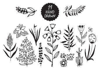 Plants and flowers set. Vector illustration for your cute design.