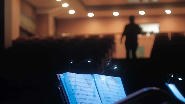 Back of conductor and musicians in concert hall and banister.