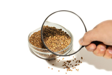 buckwheat in a glass bowl, isolated on white, under a magnifying glass.