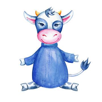 Watercolor calf hand drawn kid cartoon animal, domestic cute cow in blue sweater sitting isolated on white background, Character design for greeting card, children invite, packaging product, print