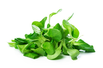 Spinach isolated on white background