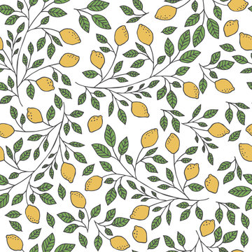 Italian Pattern Lemons Images – Parcourir 1,167 le catalogue de photos ...
