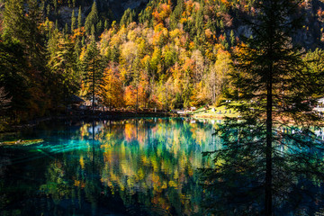 Blausee Lake During Autumn 