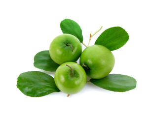 Monkey apple isolated on white background