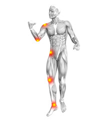 Conceptual human muscle anatomy with red and yellow hot spot inflammation or articular joint pain for health care therapy or sport concepts. 3D illustration man arthritis or bone osteoporosis disease