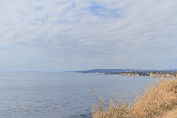 冬の太平洋の風景